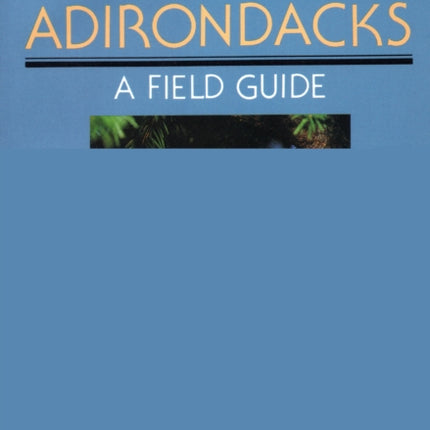 Birds Of The Adirondacks: A Field Guide