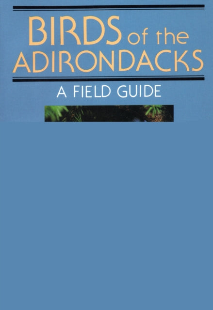 Birds Of The Adirondacks: A Field Guide