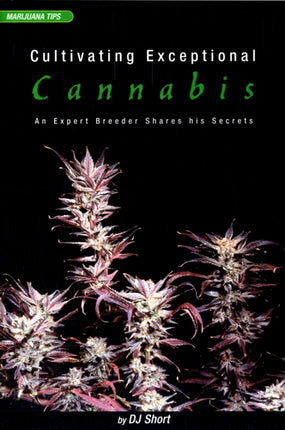 Cultivating Exceptional Cannabis: An Expert Breeder Shares His Secrets