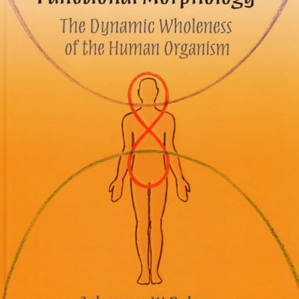 Functional Morphology: The Dynamic Wholeness of the Human Organism