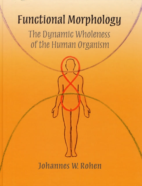 Functional Morphology: The Dynamic Wholeness of the Human Organism