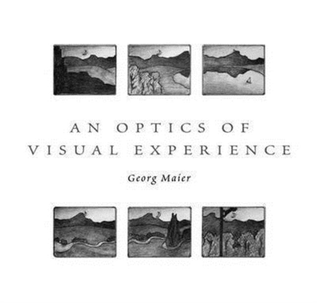 An Optics of Visual Experience