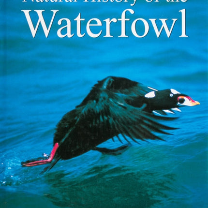 Natural History of the Waterfowl