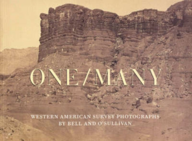 OneMany Western American Survey Photographs by