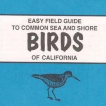 Easy Field Guide to Common Sea and Shore Birds of California