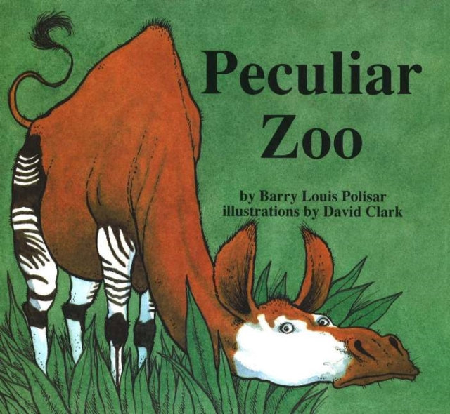 Peculiar Zoo Rainbow Morning Music Picture Books