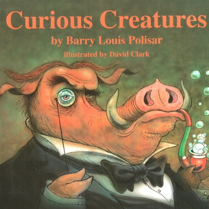 Curious Creatures Animal Poems Rainbow Morning