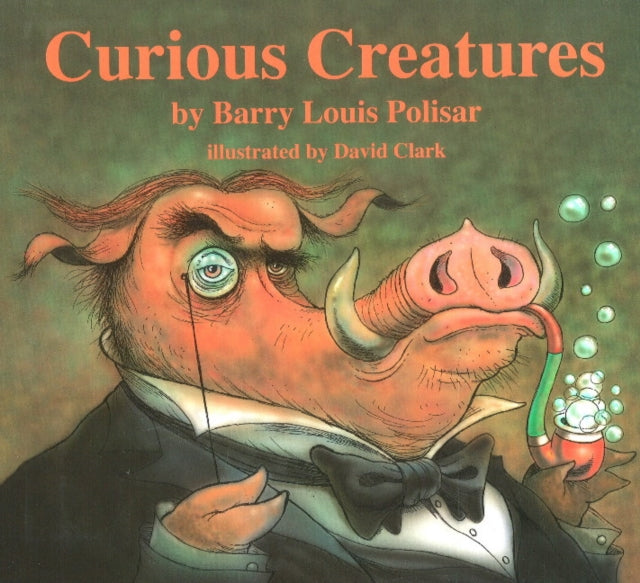 Curious Creatures Animal Poems Rainbow Morning