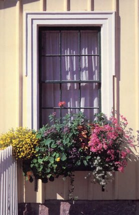 Window Box Journal