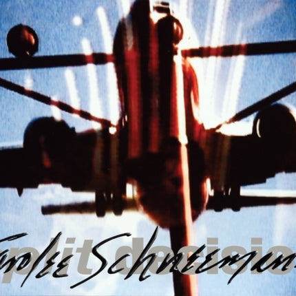 Carolee Schneemann Split Decision