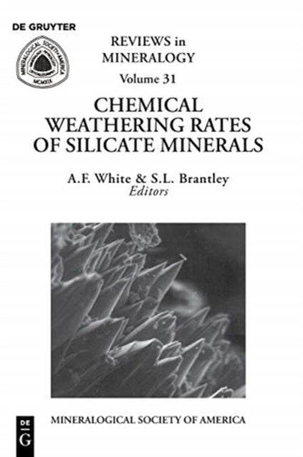 Chemical Weathering Rates of Silicate Minerals
