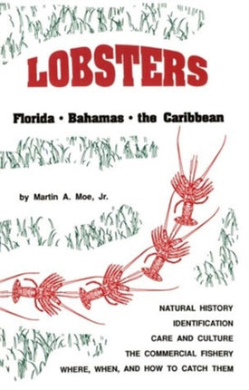 Lobsters Florida Bahamas and the Caribbean