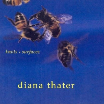 Diana Thater: Knots + Surfaces