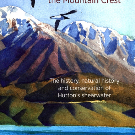 Seabirds Beyond the Mountain Crest