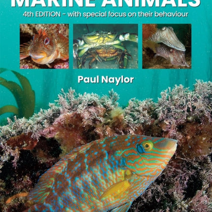 Great British Marine Animals