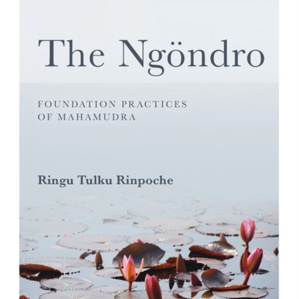 The Ngondro Preliminary Practices to Mahamudra
