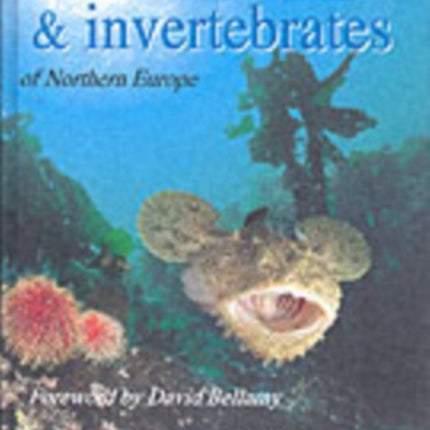 Marine Fish & Invertebrates of Northern Europe