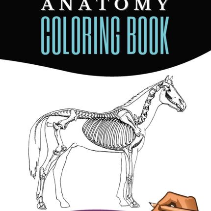 Horse Anatomy Coloring Book For Adults