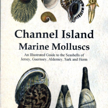 Channel Island Marine Molluscs An Illustrated Guide to All the Species from Jersey Guernsey Alderney Sark and Herm