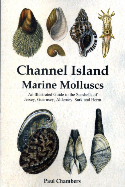 Channel Island Marine Molluscs An Illustrated Guide to All the Species from Jersey Guernsey Alderney Sark and Herm