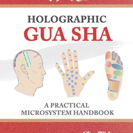 Holographic Gua sha A Practical Microsystem Handbook