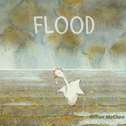 Flood