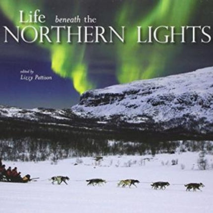 Life beneath the Northern Lights