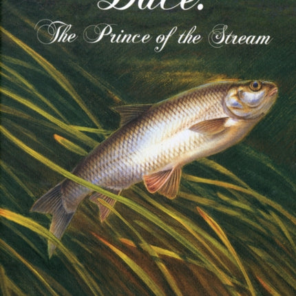 Dace: The Prince of the Stream