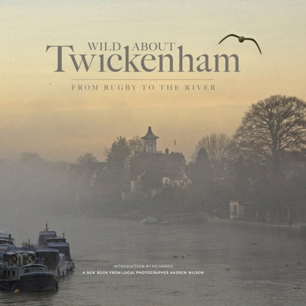 Wild About Twickenham: From Rugby to the River