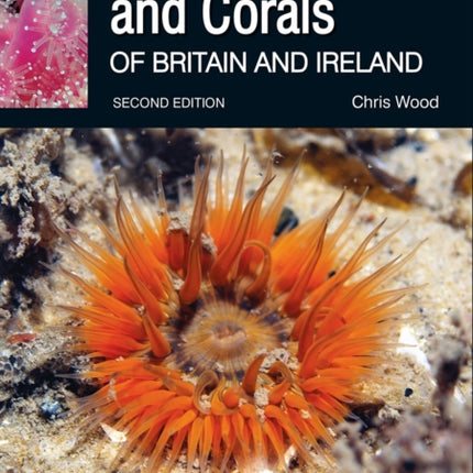 Sea Anemones and Corals of Britain and Ireland