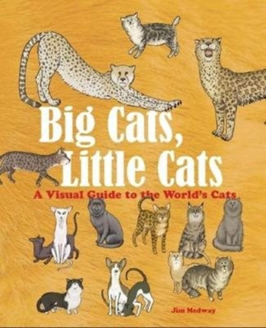 Big Cats, Little Cats: A Visual Guide to the World’s Cats