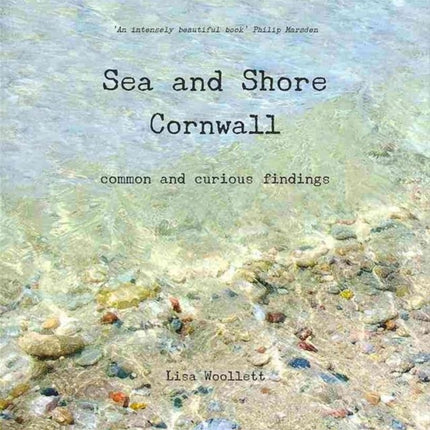 Sea and Shore Cornwall: Common and Curious Findings