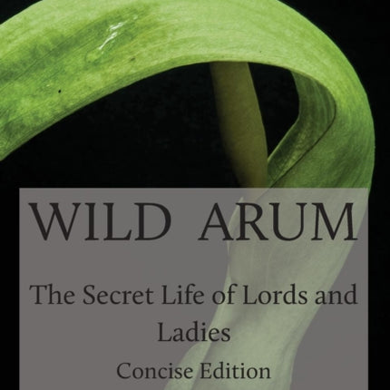 Wild Arum
