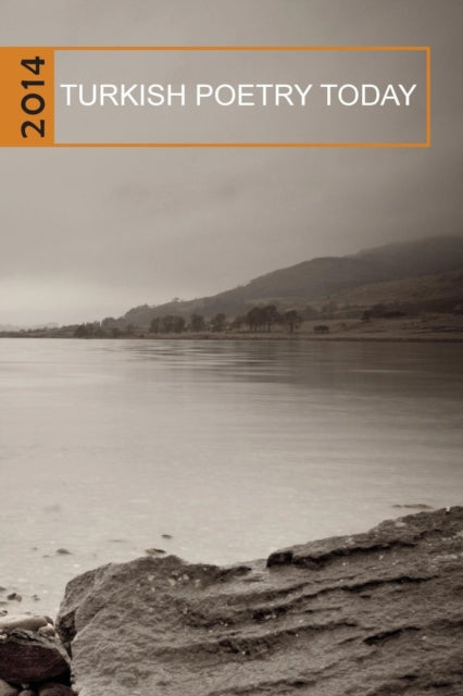 Turkish Poetry Today 2014