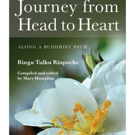 Journey from Head to Heart