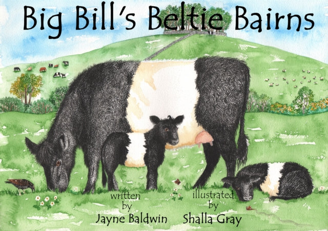 Big Bill's Beltie Bairns