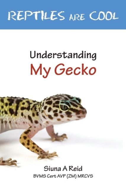 Reptiles Are Cool Understanding My Gecko