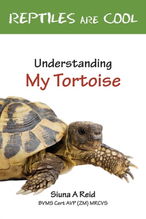 Reptiles Are Cool Understanding My Tortoise