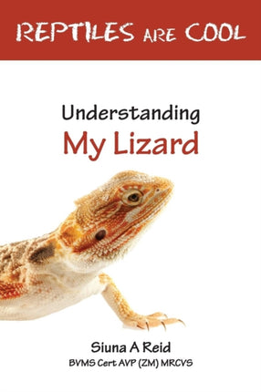 Reptiles Are Cool Understanding My Lizard