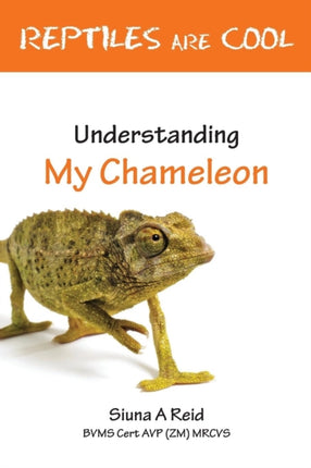 Reptiles Are Cool Understanding My Chameleon