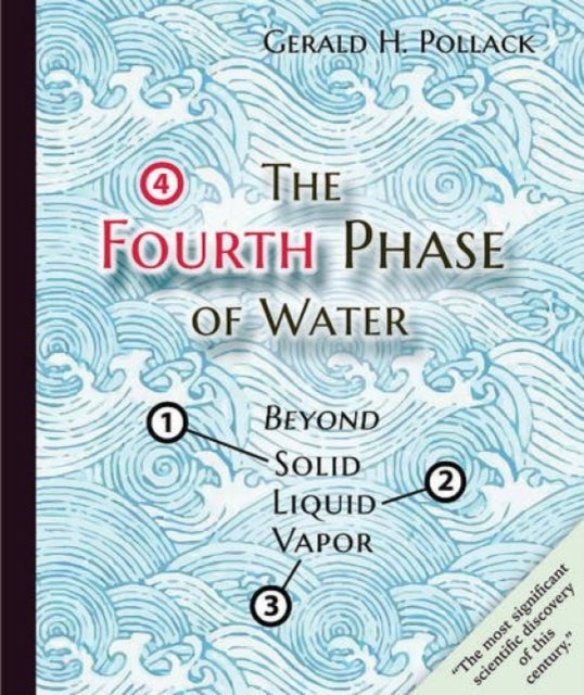 The Fourth Phase of Water: Beyond Solid, Liquid, and Vapor