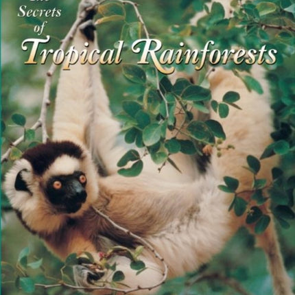 The Secrets of Tropical Rainforests: Hot and Humid and Teeming with Life