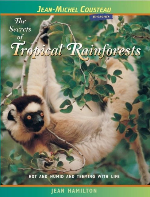 The Secrets of Tropical Rainforests: Hot and Humid and Teeming with Life