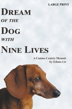 Dream of the Dog with Nine Lives  Large Print