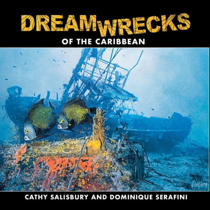 DreamWrecks of the Caribbean Diving the best shipwrecks of the region
