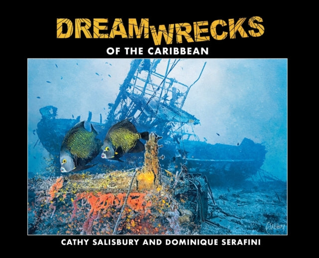 DreamWrecks of the Caribbean Diving the best shipwrecks of the region