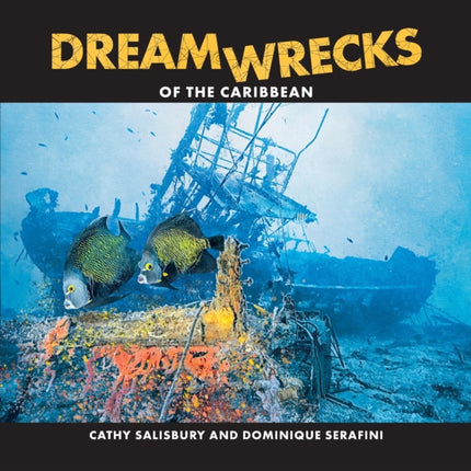 Dreamwrecks of the Caribbean Diving the best shipwrecks of the region