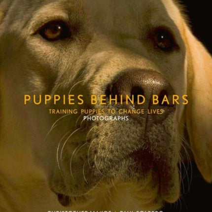 Puppies Behind Bars: Training Puppies to Change Lives