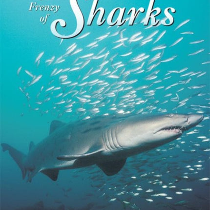 A Frenzy of Sharks: The Surprising Life of a Perfect Predator