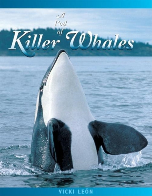 A Pod of Killer Whales: The Mysterious Life of the Intelligent Orca